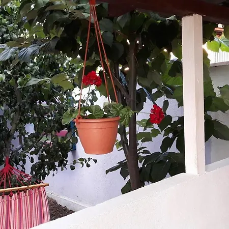 Vila Carla Agigea